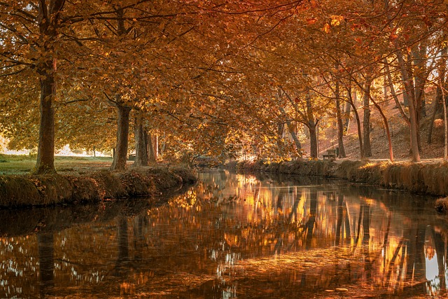 persona escribiendo un correo sobre aprendizaje de inteligencia artificial